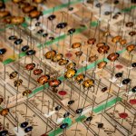 Coleotteri della famiglia Chrysomelidae, appartenenti alla Collezione Stefano De Bertolini 